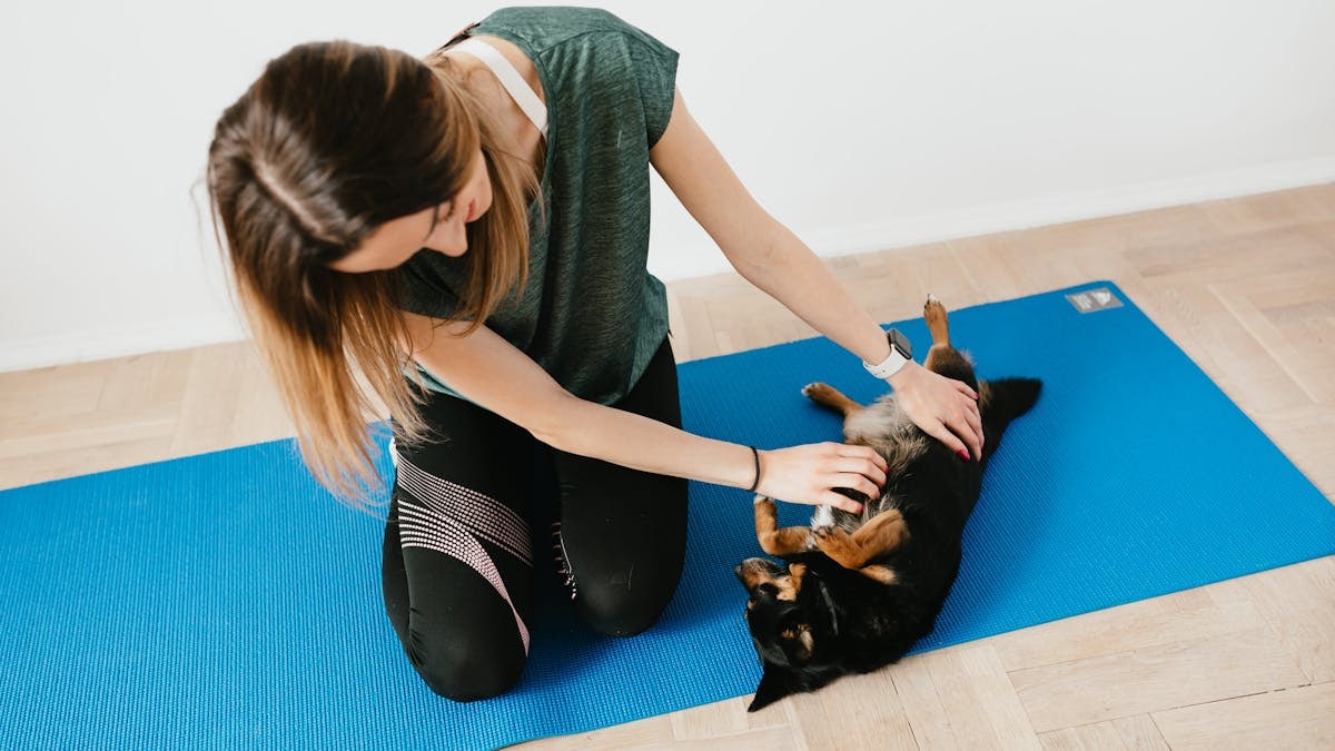 From above of happy lady in casual wear sitting on yoga mat while stroking little purebred dog at home in daylight